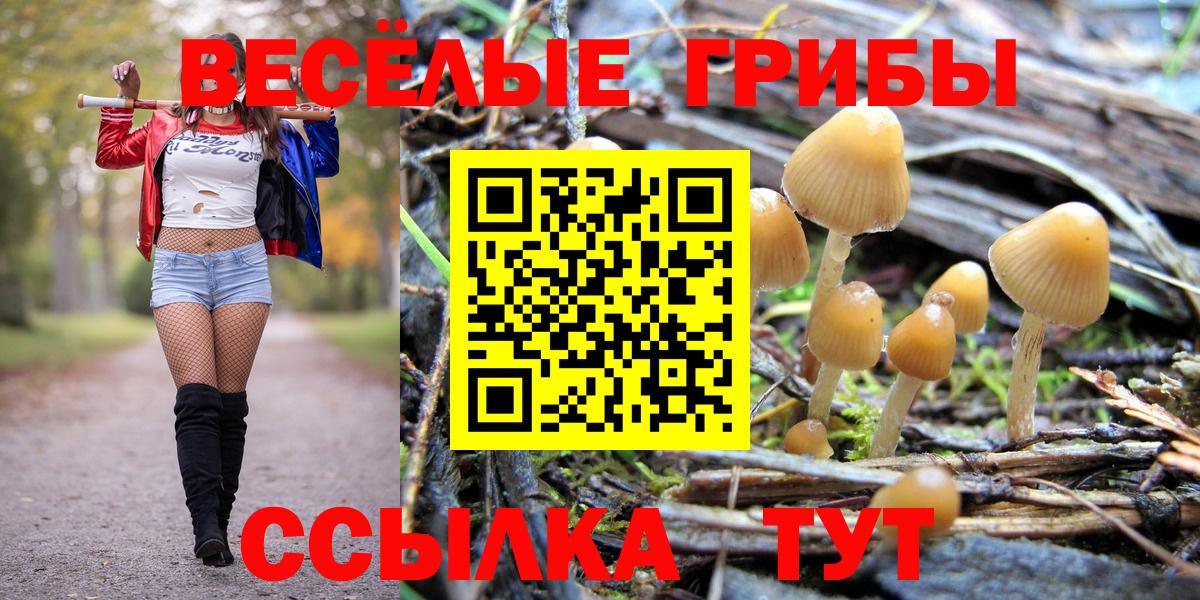 Альфа ПВП Нарткала