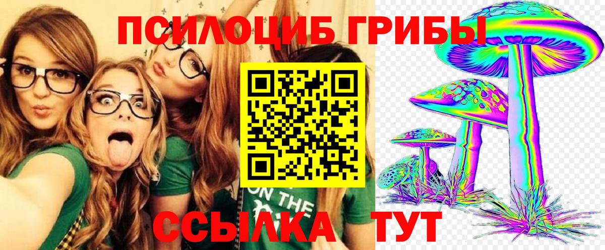 Галлюциногенные грибы Psilocybine cubensis  Вход с VPN  Нарткала  Псилоцибиновые грибы Psilocybine cubensis 